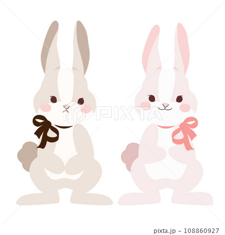 リボンを付けたかかわいいうさぎのペア 108860927