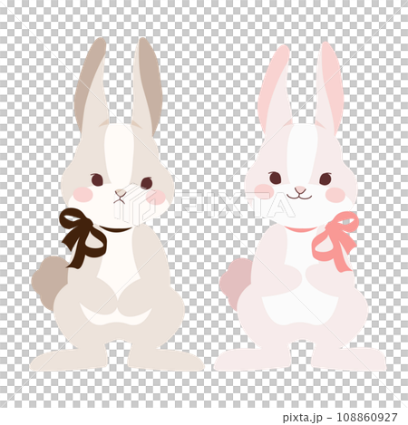 リボンを付けたかかわいいうさぎのペア 108860927