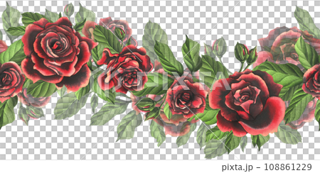 Red-black rose flowers with green leaves and buds, chic, bright, beautiful. Hand drawn watercolor illustration. Seamless border a white background, for decoration and design. 108861229