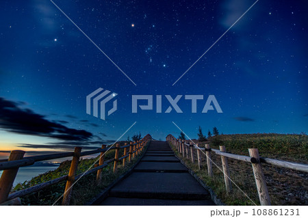 夜明け前の遊歩道と星空 108861231
