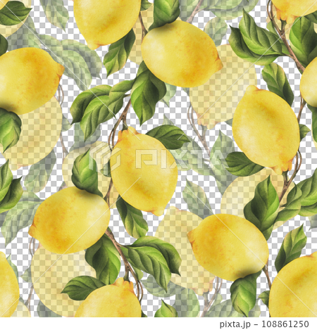 Lemons are yellow, juicy, ripe with green leaves, flower buds on the branches, whole and slices. Watercolor, hand drawn botanical illustration. Seamless pattern on a white background. Lemons are yellow, juicy, ripe with green leaves, flower buds on the branches, whole and slices. Watercolor, hand drawn botanical illustration. Seamless pattern on a white background. 108861250