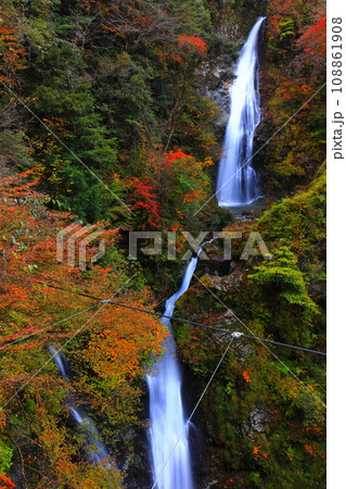【兵庫県】紅葉の原不動滝 【兵庫県】紅葉の原不動滝 108861908