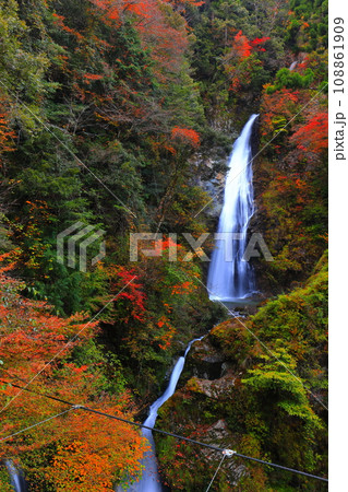 【兵庫県】紅葉の原不動滝 【兵庫県】紅葉の原不動滝 108861909