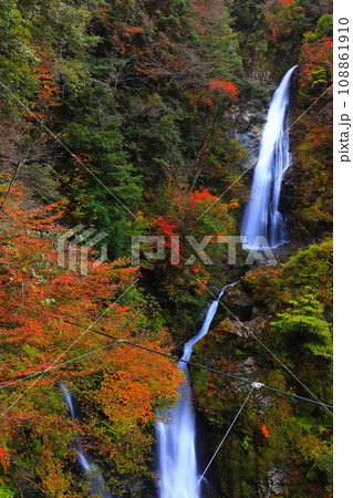 【兵庫県】紅葉の原不動滝 【兵庫県】紅葉の原不動滝 108861910