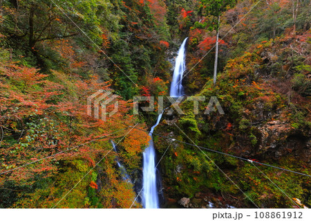 【兵庫県】紅葉の原不動滝 108861912