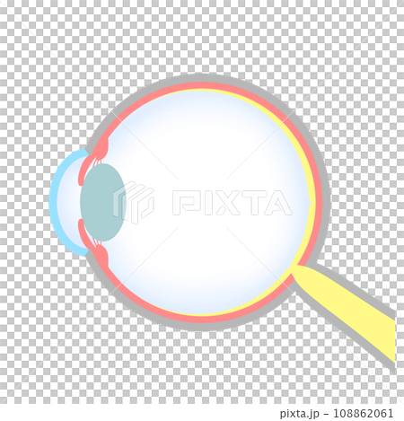 正常な眼球(正視)のイラスト 正常な眼球(正視)のイラスト 108862061