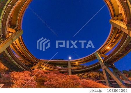 （静岡県）河津桜咲く、河津七滝ループ橋　ライトアップ 108862092