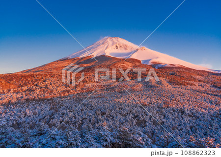 (静岡県)降雪した水ヶ塚公園・腰切塚展望台から望む富士山 (静岡県)降雪した水ヶ塚公園・腰切塚展望台から望む富士山 108862323