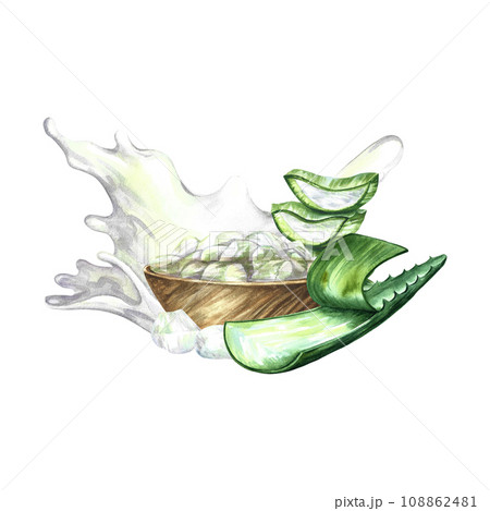 Aloe vera. Hand-drawn watercolor illustration. A leaf of aloe vera, slices of aloe and a wooden cup with pieces of aloe. Isolate. For packaging cosmetics and medicines. For banners, posters and flyers 108862481
