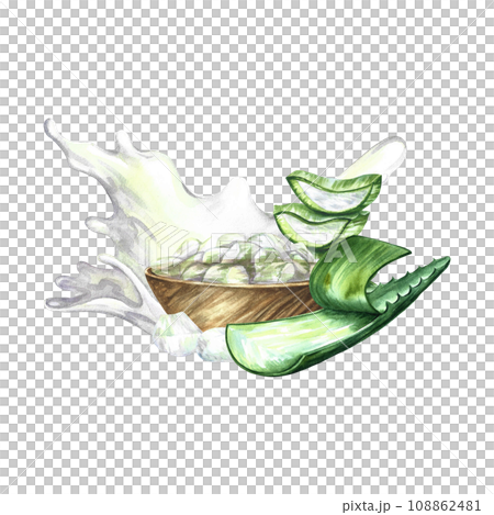 Aloe vera. Hand-drawn watercolor illustration. A leaf of aloe vera, slices of aloe and a wooden cup with pieces of aloe. Isolate. For packaging cosmetics and medicines. For banners, posters and flyers Aloe vera. Hand-drawn watercolor illustration. A leaf of aloe vera, slices of aloe and a wooden cup with pieces of aloe. Isolate. For packaging cosmetics and medicines. For banners, posters and flyers 108862481