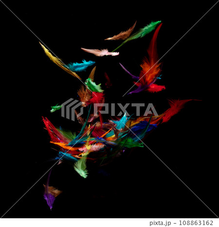 Many color Feather fly fall in Air over black background isolated. Puffy Fluffy soft feathers as purity smooth like dream floating dove in sky. Angle flying from heaven, photo motion studio lighting 108863162