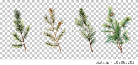 Set of fir and pine branches with snow on transparent background 108863202