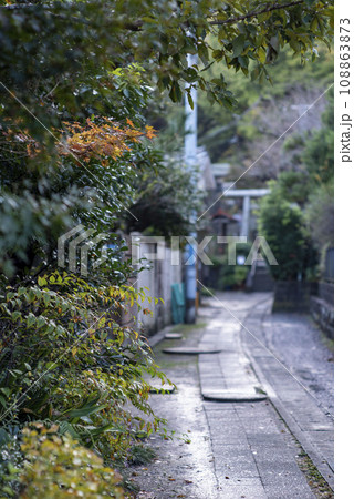 鎌倉11月 長谷駅界隈5 鎌倉11月 長谷駅界隈5 108863873