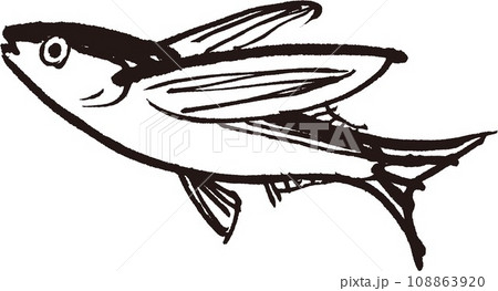 トビウオ　水彩画 108863920