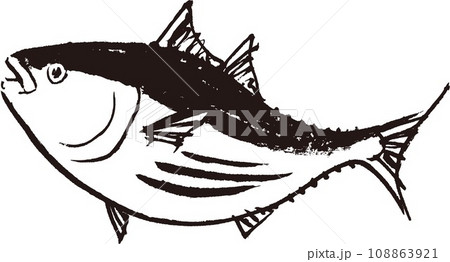 鰹　水彩画　水墨画 108863921