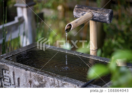 鎌倉11月　大巧寺2 108864043