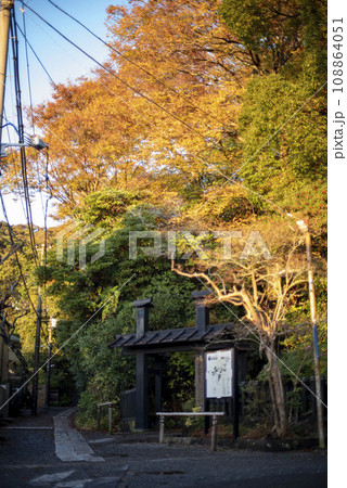 鎌倉11月 妙本寺6 鎌倉11月 妙本寺6 108864051