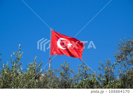 Turkish flag against the blue sky and tops of the trees. Turkish flag against the blue sky and tops of the trees. 108864170