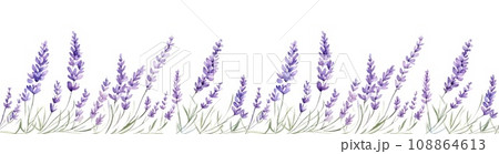 Seamless border of tender watercolor lavender flowers border on transparent background 108864613
