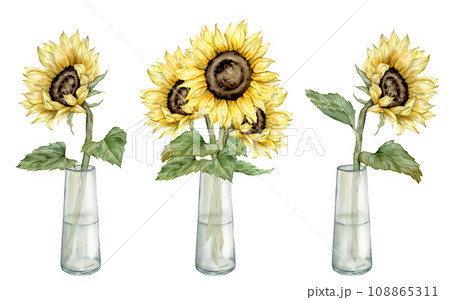 Set of watercolor bouquet of sunflowers in glass jar. Hand drawn illustration isolated on white background. Ideal for wedding invitations and Save the Date invitations, other design Set of watercolor bouquet of sunflowers in glass jar. Hand drawn illustration isolated on white background. Ideal for wedding invitations and Save the Date invitations, other design 108865311