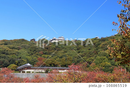 紅葉した城山公園から見上げた松山城 紅葉した城山公園から見上げた松山城 108865519