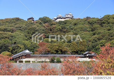 紅葉した城山公園から見上げた松山城 108865520