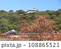 紅葉した城山公園から見上げた松山城 108865521