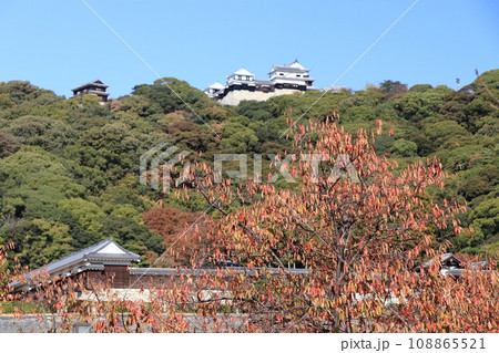 紅葉した城山公園から見上げた松山城 108865521