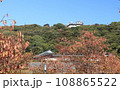 紅葉した松山城の風景 108865522