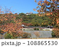 城山公園から見た紅葉の松山城 108865530