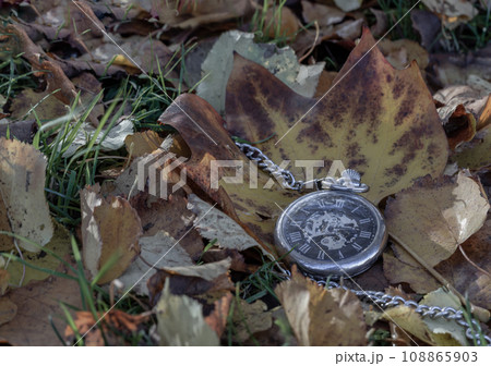 Vintage pocket watch lies on dry yellow leaf and green grass background. Vintage pocket watch lies on dry yellow leaf and green grass background. 108865903
