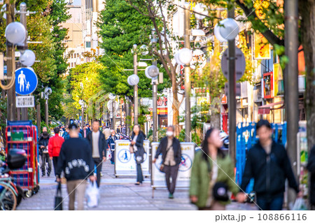 日本の横浜都市景観 関内駅すぐのイセザキ・モール（伊勢佐木町商店街）など望む＝11月 108866116