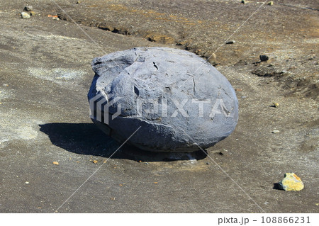 紡錘形火山弾（通称「恐竜の卵」）阿蘇・砂千里ヶ浜 108866231