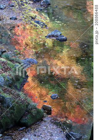 水面を彩る紅葉 小田深山渓谷 (愛媛県) 水面を彩る紅葉 小田深山渓谷 (愛媛県) 108866488