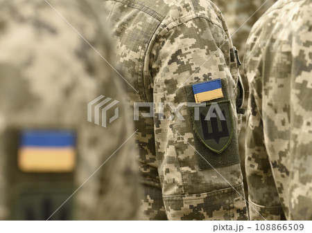 Armed Forces of Ukraine. Ukrainian soldier. Ukraine military uniform. 108866509