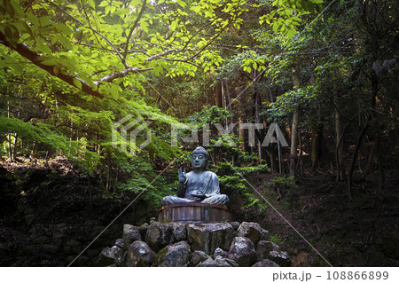 Green Buddha sits on the rock pile among forest trees in afternoon time at Japan. Green Buddha sits on the rock pile among forest trees in afternoon time at Japan. 108866899