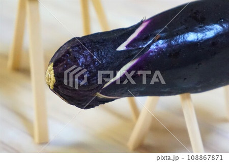 精霊馬 精霊牛 牛馬 お盆 精霊棚 盆棚 仏壇 精霊馬 精霊牛 牛馬 お盆 精霊棚 盆棚 仏壇 108867871