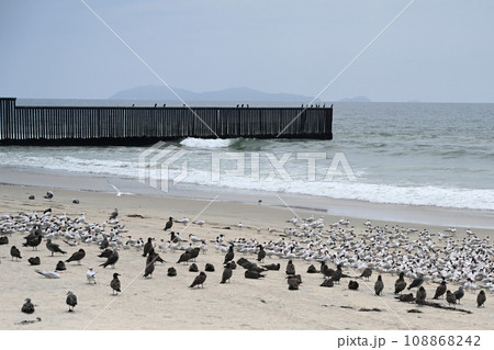 A fence on the United States - Mexico border where it meets the Pacific Ocean in Border Field State Park Beach A fence on the United States - Mexico border where it meets the Pacific Ocean in Border Field State Park Beach 108868242
