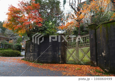 紅葉の栗原邸前にて（京都市山科区） 108868499