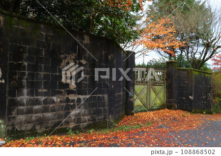 紅葉の栗原邸前にて（京都市山科区） 108868502