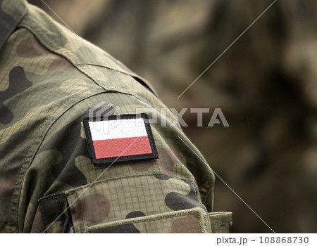 Flag of Poland on military uniform. Polish army. Troops, soldiers. Flag of Poland on military uniform. Polish army. Troops, soldiers. 108868730