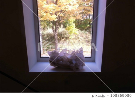 窓からの紅葉 108869080
