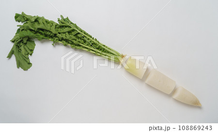 部位ごと(葉・根元・中間・先端)にカットされた大根 部位ごと(葉・根元・中間・先端)にカットされた大根 108869243