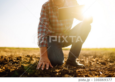 Male hands touching soil on the field. Expert hand of farmer checking soil health. Ecology concept. 108869377