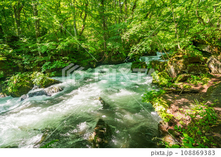 （青森県）深緑の奥入瀬渓流　阿修羅の流れ付近 108869383