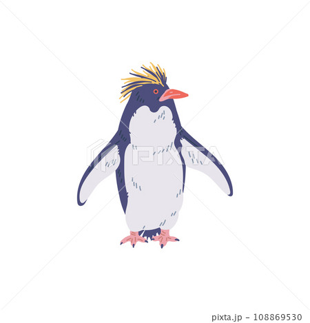 Crested penguin, vector flat cartoon illustration isolated on white. Crested penguin, vector flat cartoon illustration isolated on white. 108869530