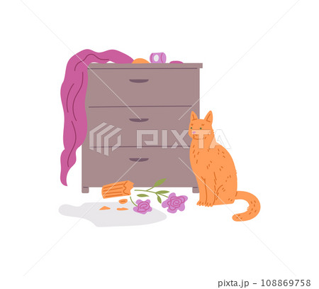 Pet mess, broken vase, scattered things over dresser. Pet mess, broken vase, scattered things over dresser. 108869758