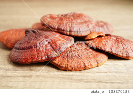 Lingzhi or Reishi mushroom with capsules, organic natural healthy food. Lingzhi or Reishi mushroom with capsules, organic natural healthy food. 108870188