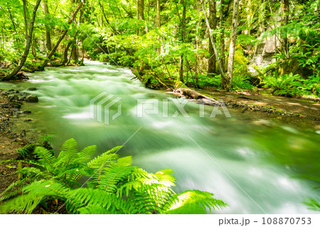 （青森県）深緑の奥入瀬渓流　銚子大滝 108870753