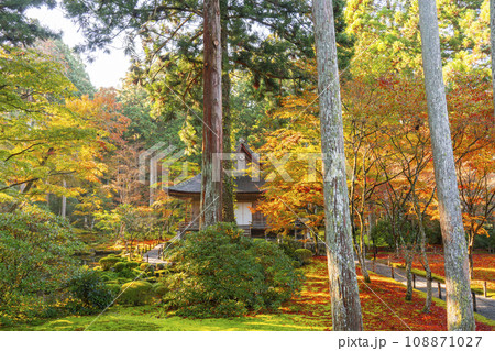 紅葉が美しい京都大原三千院　宸殿から見る往生極楽院 108871027